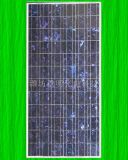 Solar Cell Module (JM-P175WP)