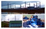 Vertical Francis/ Water Turbine/ Hydro Turbine/ Power Plant