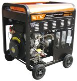 CE Approved Power Diesel Generator (DG10LE-3P)