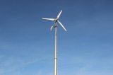 Wind Turbine on Grid System