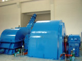 Hydro Turbine Generator / Water Turbine for Hydro Power Plant