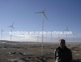 Wind Turbine (FD8.0-10KW)