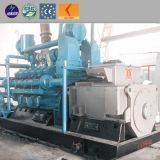Lvhuan Power CHP Cogeneration Generator Containzer 1000kw Biogas Generator