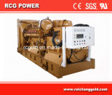 Natural Gas Generator 250KW / 312.5KVA