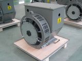 8.8kw/11kVA Small Power AC Alternator