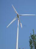 Home Wind Electric Generator Turbine