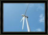 10kw Wind Power Generator by-Pass&Communication Function, CE Certification