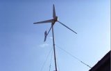 500w Wind Power Generator (FD-500W)