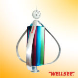 Wellsee Wind Turbine (squirrel-cage small Squirrel-cage wind turbine) Ws-Wt 300W