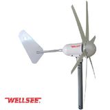 300W High Efficiency Wind Turbine Generator 12V/24V (WS-WT400W)