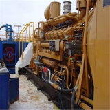 Syngas Fule Wood Biomass Gas Generator Set 800kw Power Gasification Rice Husk Straw