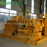 LPG CNG Gas Generator Made in China