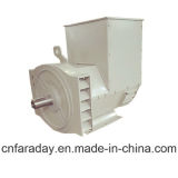 Faraday Double Bearing Brushless AC Generator, IP23 H Class Alternator (ISO/CE Approved) Fd2ds