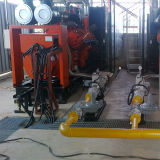 Biogas Generating Project in Nigeria / Power Plant (H Series)