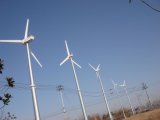 Medium and Small Scaled Wind Farm Wind Generators Hummer 400W to 100kw Wind Generator