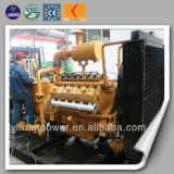 380V 50Hz 3pH 200kw LPG Generator/ Natural Gas Generator
