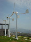 Customerized Wind Mill Turbine Generator