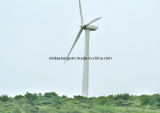 50kw Wind Turbine Generator with CE Certificate