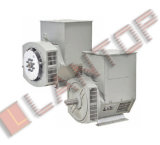 Tlg Series Three-Phase Brushless Synchronous Generator/Copy Stamford Generator