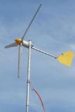 Wind Turbine (300W)