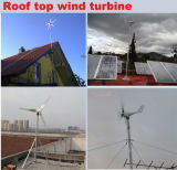 10kw 220V/240V/380V Home Use Low Rpm Horizontal Wind Turbine Generator (YC-NE10K)
