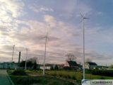 2000w Wind and Solar Hybrid Power System for Home