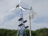 New Design Windmill Turbine Solar Panel Hybrid System for Sale