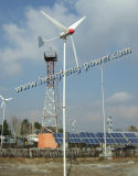 3 Years Warranty Wind Power Generator 600W for Home and Farm Use