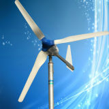 Hot Selling 600W Wind Power Generator, 24V/48V Optional