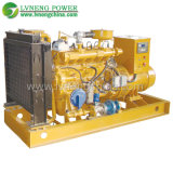 China Supplier Natural Gas Generator with Domestic Brand