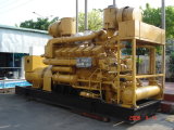 Jichai Series Diesel Generator (G6190ZLD)