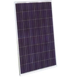 170w Polycrystalline Solar Panel (NES48-6-170P)