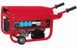 Gasoline Generator (SGE3000EXW-3)