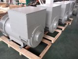 Faraday AC Alternator Bearing Single or Double Bearing Generator