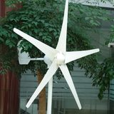 5 Blades300W 12V 50Hz Wind Turbine Generator for Boat (YC-300M)