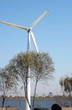 30kw Wind Turbine Generator (CE Approved)