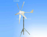 800w Wind Turbine (FD-24D800)