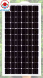 Solar Module 165W