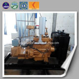 Natural Gas Power Electric Generator for Sale