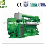 2016 Biogas Power Plant Gas Generator