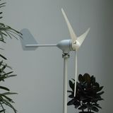 300W 12V 50Hz Wind Turbine Generator for Boat (YC-300M)