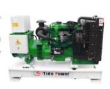 Chengtai Generator by Lovol Engine