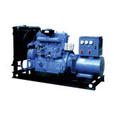 Diesel Generator (Series 135)