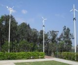 600W Small Wind Generator (CE, RoHS)