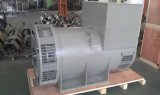 Big Alternator Diesel Engine Generator Alternator