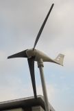 Small Wind Turbine (400W) (V400)