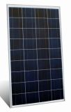 250W Poly Solar Modules