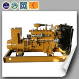 Natural Gas Generator Set with CE and ISO (100kw)