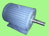 20kw Horizontal Wind Permanent Magnet Generator/ Alternator