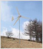 300w Wind Power Generator (FD-300W)